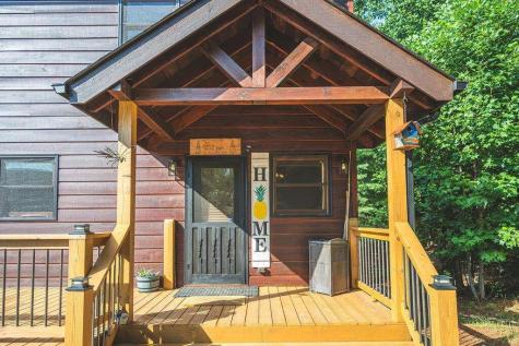 72 Gibbs Trail Mineral Bluff GA 30559