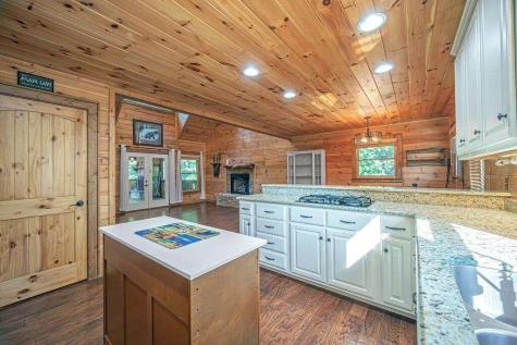 72 Gibbs Trail Mineral Bluff GA 30559