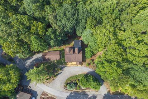 72 Gibbs Trail Mineral Bluff GA 30559