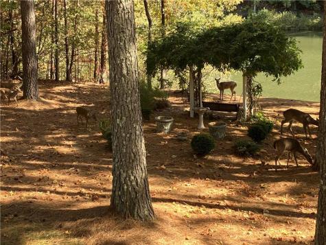 404 Golden Delicious Road Clarkesville GA 30523