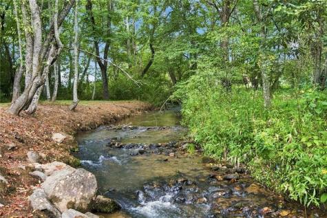 33 Pigeon Creek Drive Blue Ridge GA 30513
