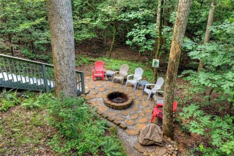 234 Holly Hollow Road Cherry Log GA 30522