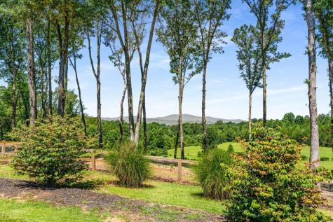 254 Nicholson Road Blue Ridge GA 30513