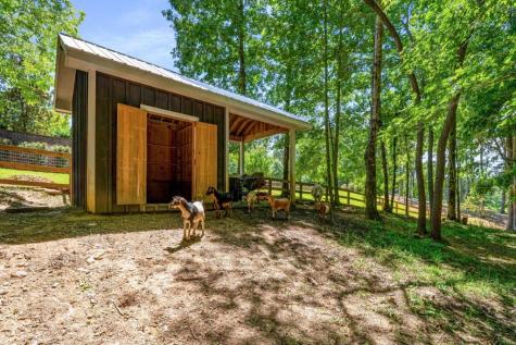 254 Nicholson Road Blue Ridge GA 30513