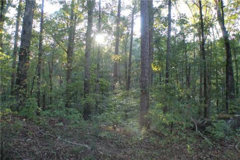 8187 Highway 53 West Jasper GA 30143