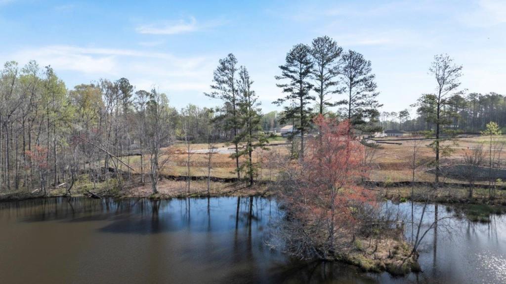 2617 Indigo Road Lithia Springs GA 30122