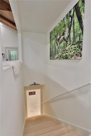 273 Indian Pipe Drive Big Canoe GA 30143