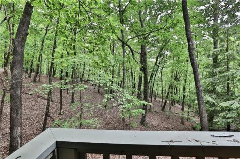 273 Indian Pipe Drive Big Canoe GA 30143