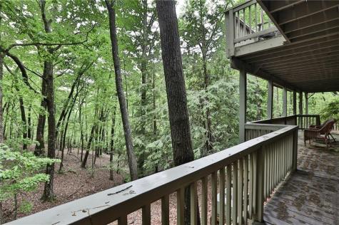 273 Indian Pipe Drive Big Canoe GA 30143