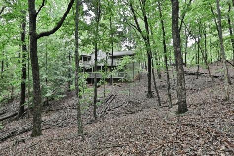 273 Indian Pipe Drive Big Canoe GA 30143