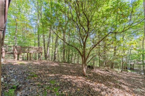 726 Cherry Lake Drive Blue Ridge GA 30513
