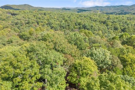 726 Cherry Lake Drive Blue Ridge GA 30513