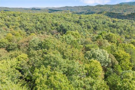 726 Cherry Lake Drive Blue Ridge GA 30513