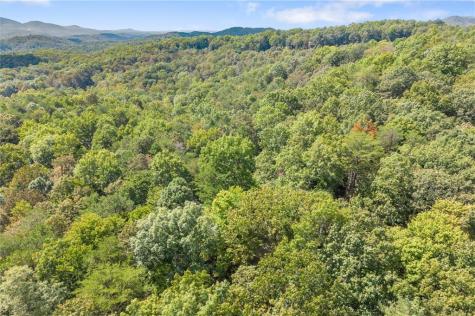 726 Cherry Lake Drive Blue Ridge GA 30513