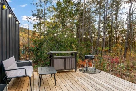 115 Raleigh Ridge Drive Blue Ridge GA 30513