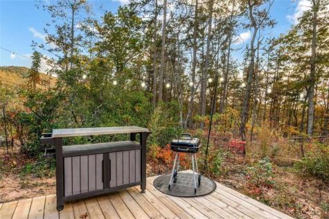 115 Raleigh Ridge Drive Blue Ridge GA 30513