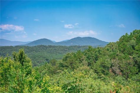 88 Down Yonder Road Morganton GA 30560