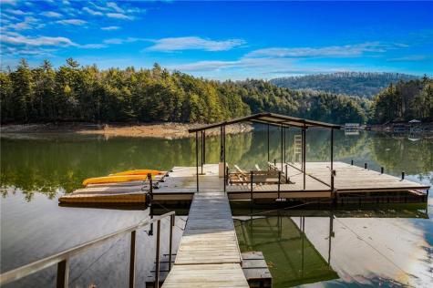 770 Fish Hook Point Blue Ridge GA 30513
