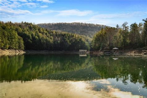 770 Fish Hook Point Blue Ridge GA 30513