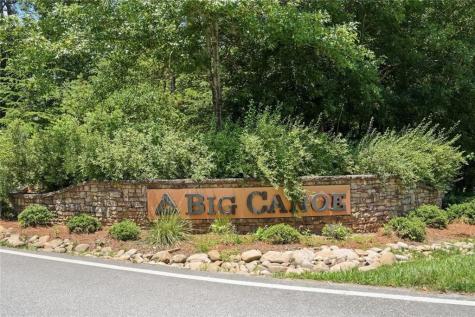 222 Bellflower Drive Jasper GA 30143