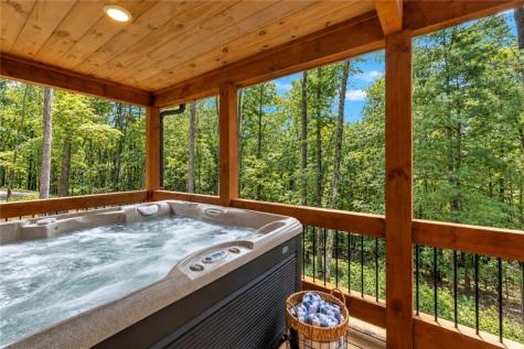 148 Haley Drive Cherry Log GA 30522