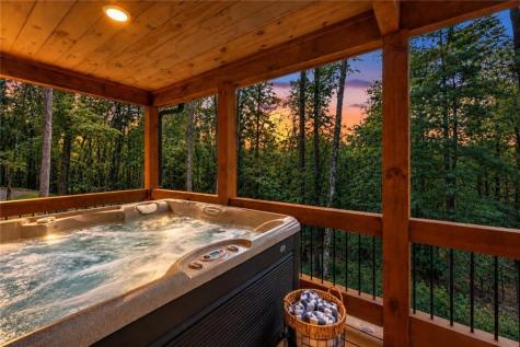 148 Haley Drive Cherry Log GA 30522