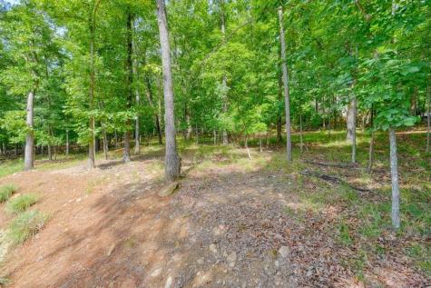 110 Cherry Court Waleska GA 30183