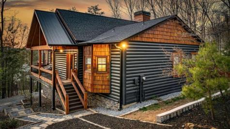 346 Logan Drive Mineral Bluff GA 30559