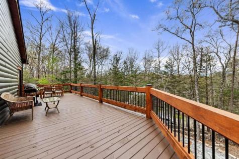 346 Logan Drive Mineral Bluff GA 30559