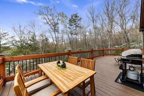 346 Logan Drive Mineral Bluff GA 30559