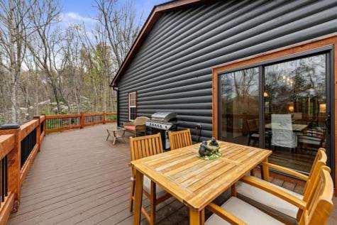 346 Logan Drive Mineral Bluff GA 30559