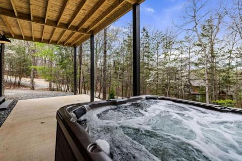 346 Logan Drive Mineral Bluff GA 30559