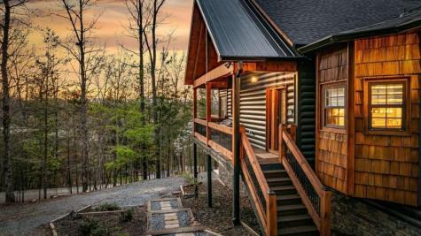 346 Logan Drive Mineral Bluff GA 30559