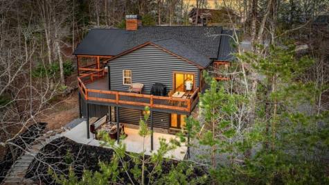 346 Logan Drive Mineral Bluff GA 30559
