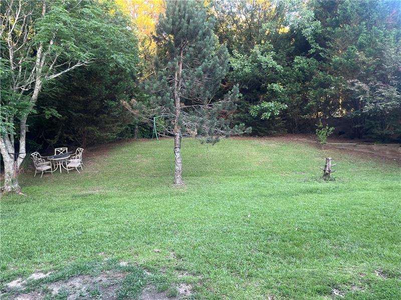 35 Reisling Drive Braselton GA 30517