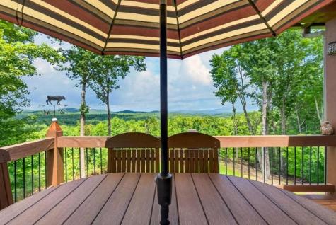 287 Scouts Overlook Morganton GA 30560