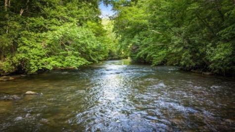 44 Magnolia Trail Mccaysville GA 30555