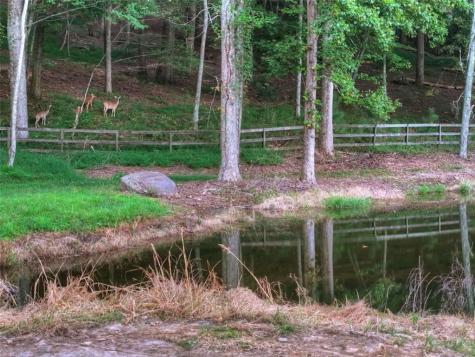 859 Hagin Circle Ellijay GA 30536