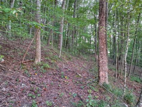 859 Hagin Circle Ellijay GA 30536