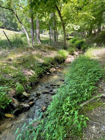 859 Hagin Circle Ellijay GA 30536
