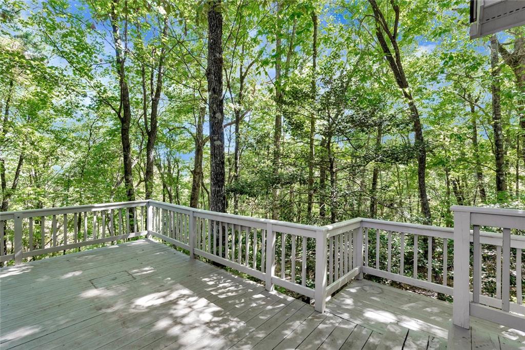 325 Muir Drive Sautee Nacoochee GA 30571