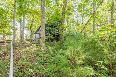 8624 Old Dial Blue Ridge GA 30513