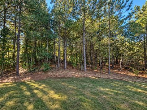216 Magnolia Villas Drive Cornelia GA 30531