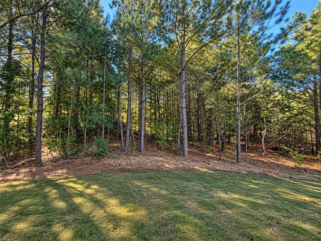 216 Magnolia Villas Drive Cornelia GA 30531