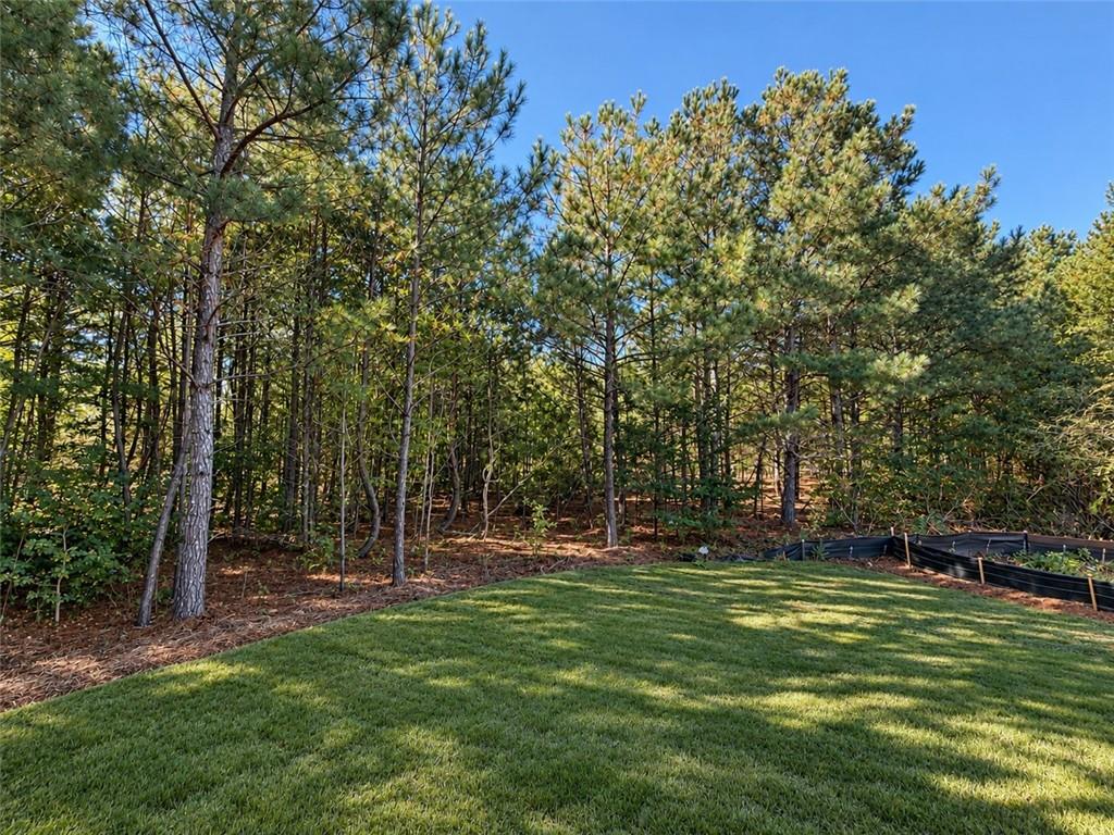 216 Magnolia Villas Drive Cornelia GA 30531
