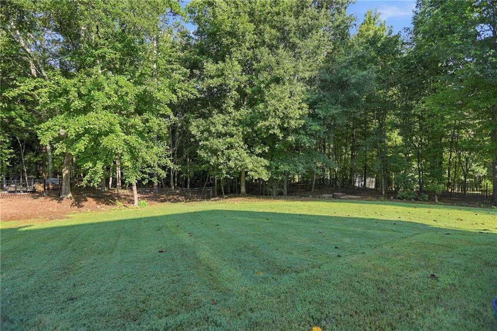 26 Buckeye Court Sharpsburg GA 30277