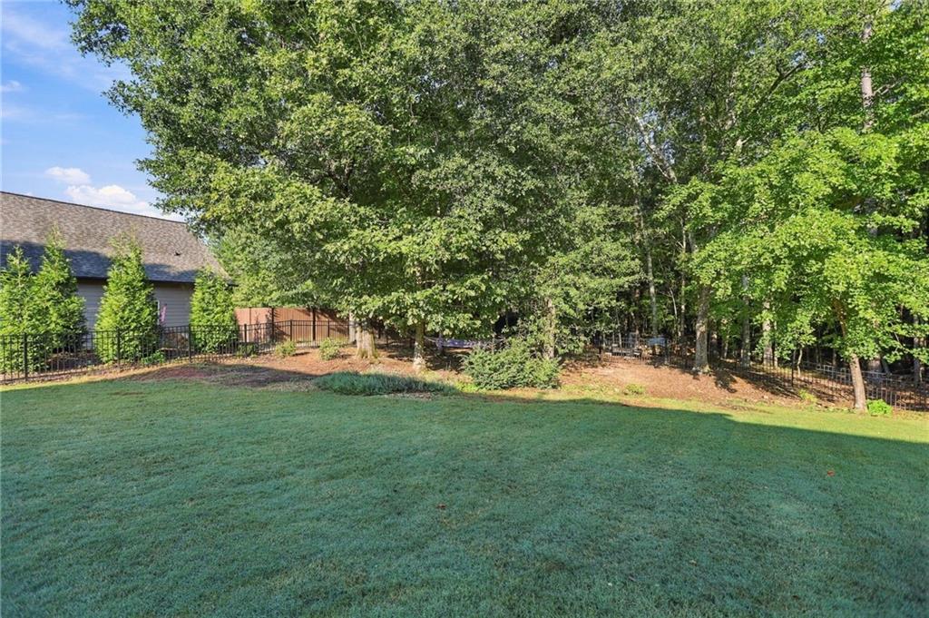 26 Buckeye Court Sharpsburg GA 30277