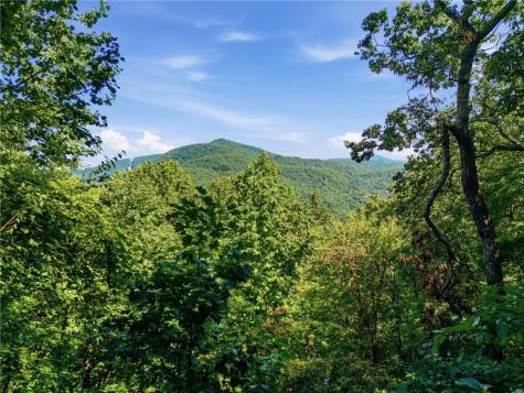 445 Orchid Trail Clayton GA 30525