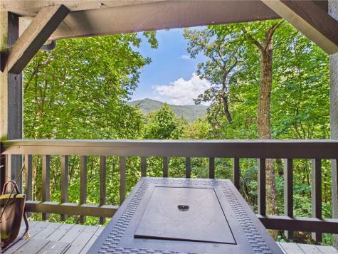 445 Orchid Trail Clayton GA 30525