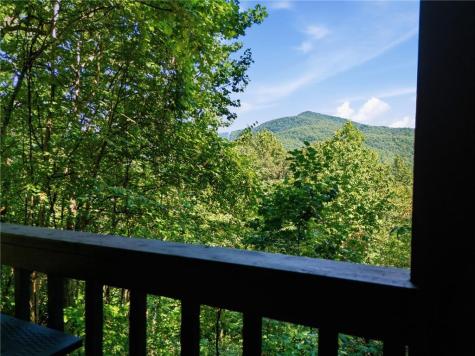 445 Orchid Trail Clayton GA 30525